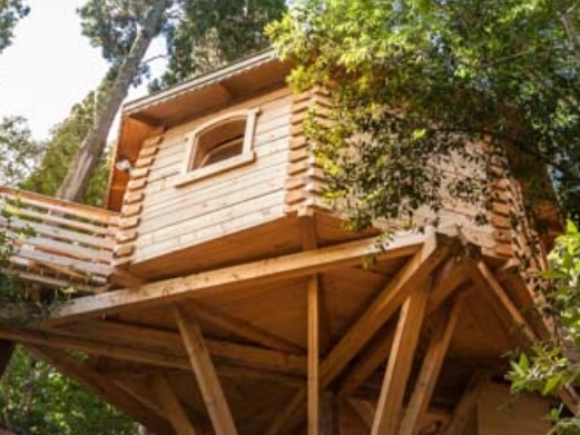 Cabanes dans les bois